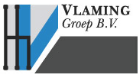 logo_Vlaming