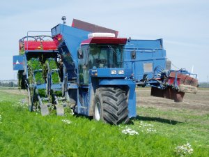sp-250-199